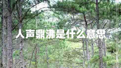 人聲鼎沸是什么意思