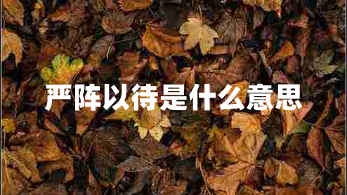 嚴陣以待是什么意思