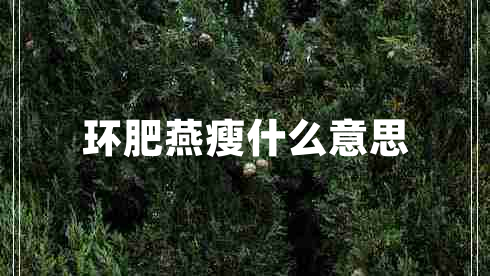 環(huán)肥燕瘦什么意思