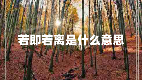 若即若離是什么意思