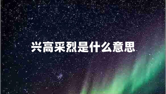 興高采烈是什么意思