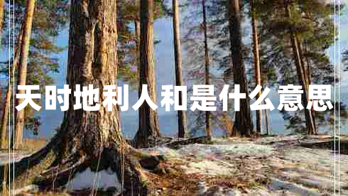 天時(shí)地利人和是什么意思