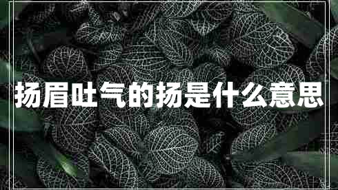 揚眉吐氣的揚是什么意思