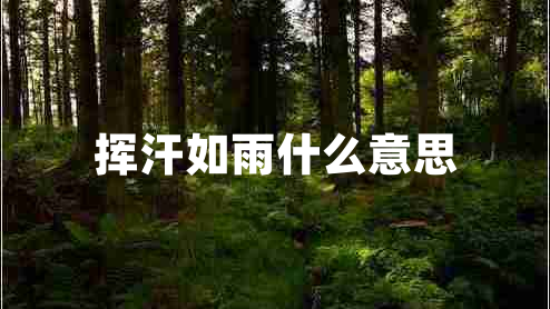 揮汗如雨什么意思