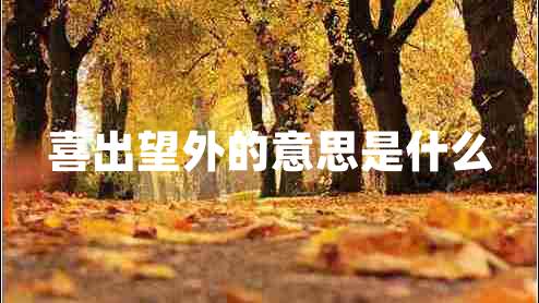 喜出望外的意思是什么