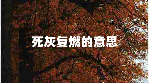 死灰復燃的意思