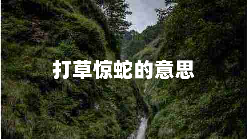 打草驚蛇的意思