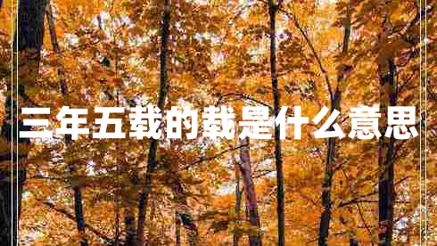 三年五載的載是什么意思