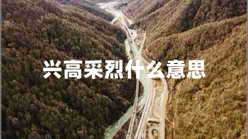 興高采烈什么意思