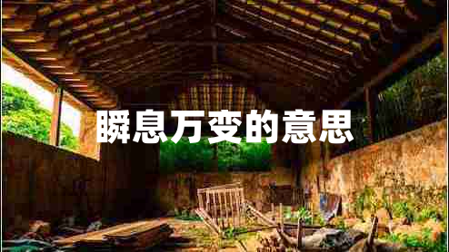瞬息萬(wàn)變的意思