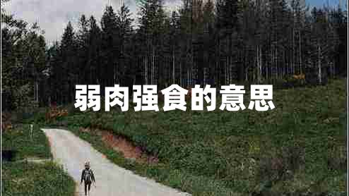 弱肉強食的意思