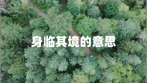 身臨其境的意思