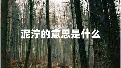 泥濘的意思是什么