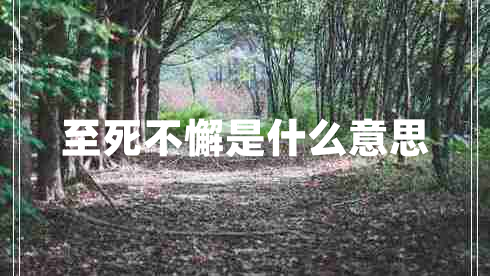 至死不懈是什么意思