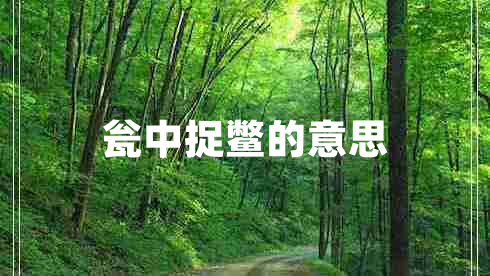 甕中捉鱉的意思