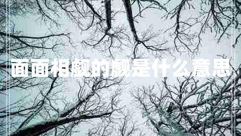 面面相覷的覷是什么意思