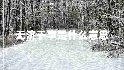 無(wú)濟(jì)于事是什么意思