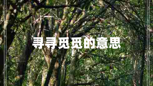 尋尋覓覓的意思