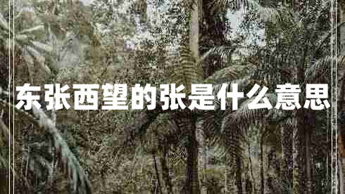 東張西望的張是什么意思