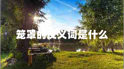 籠罩的反義詞是什么