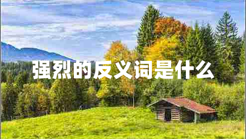 強烈的反義詞是什么