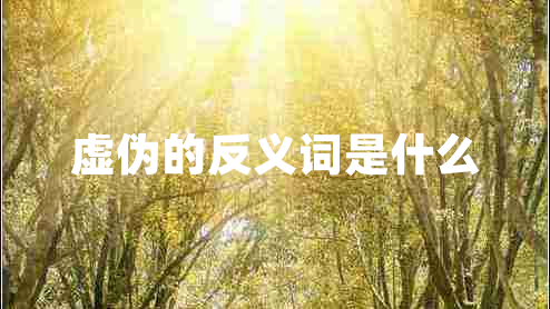 虛偽的反義詞是什么