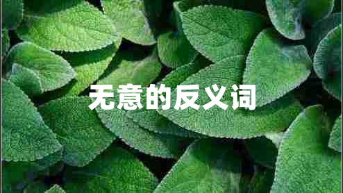 無意的反義詞
