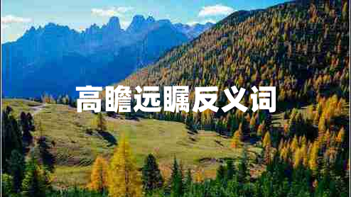高瞻遠(yuǎn)矚反義詞