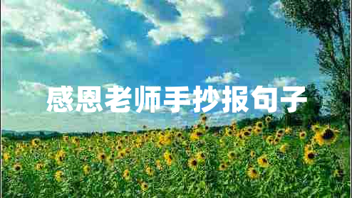 感恩老師手抄報(bào)句子