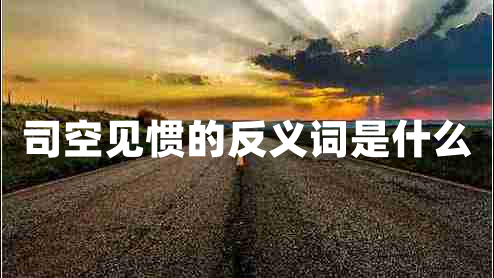 司空見慣的反義詞是什么