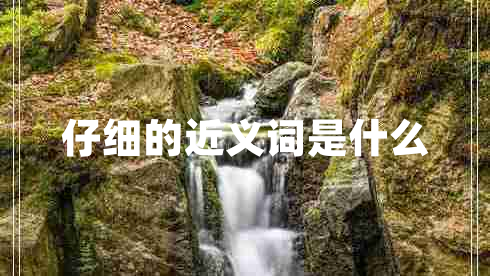 仔細的近義詞是什么