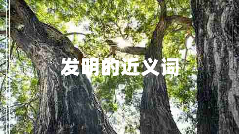 發(fā)明的近義詞