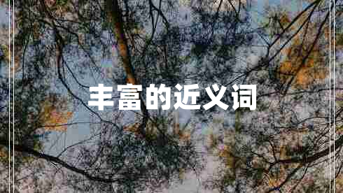 豐富的近義詞