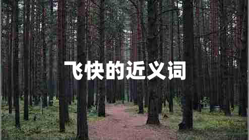 飛快的近義詞