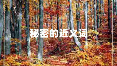 秘密的近義詞
