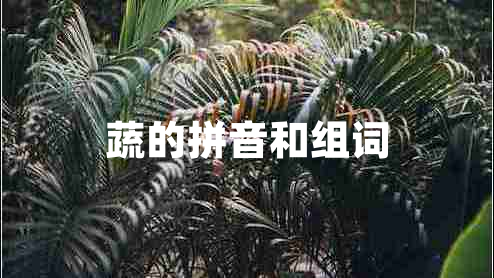 蔬的拼音和組詞