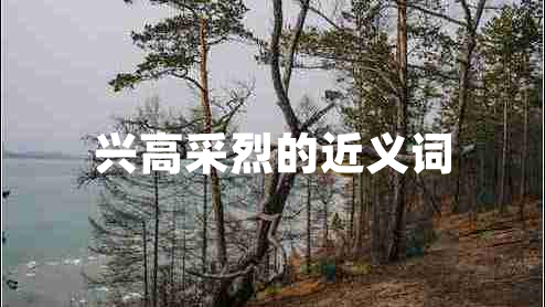 興高采烈的近義詞