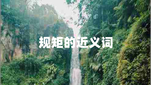 規(guī)矩的近義詞