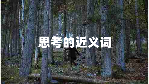 思考的近義詞