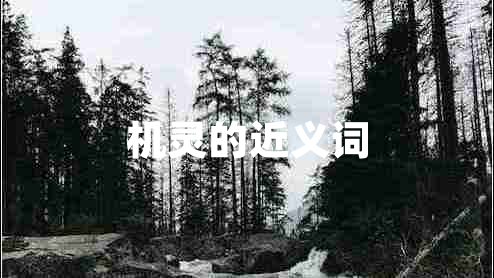 機(jī)靈的近義詞