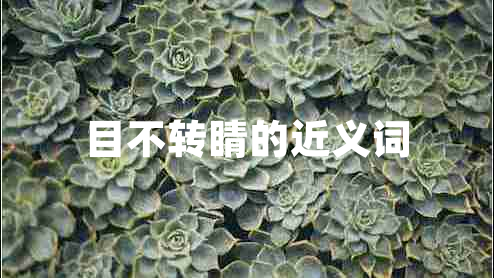 目不轉(zhuǎn)睛的近義詞