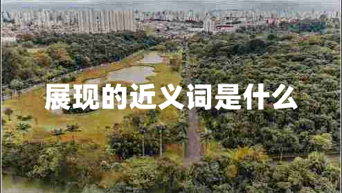 展現(xiàn)的近義詞是什么