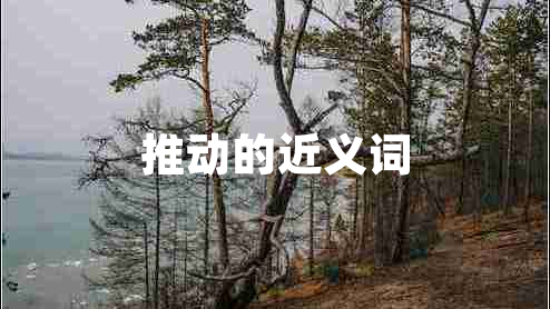 推動(dòng)的近義詞