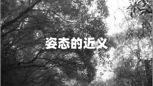 姿態(tài)的近義