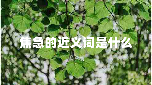 焦急的近義詞是什么