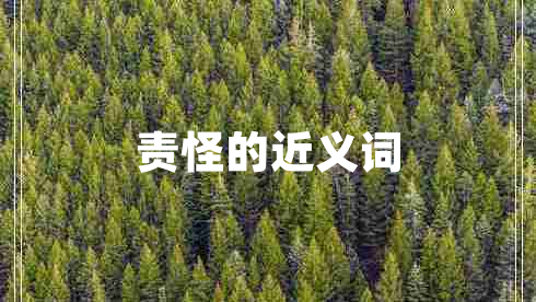 責(zé)怪的近義詞