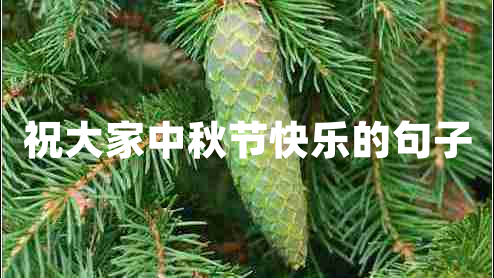 祝大家中秋節(jié)快樂的句子 祝大家中秋節(jié)快樂的句子