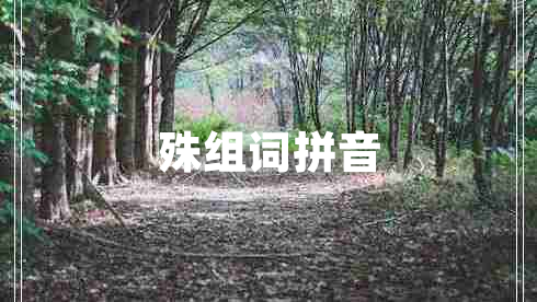 殊組詞拼音