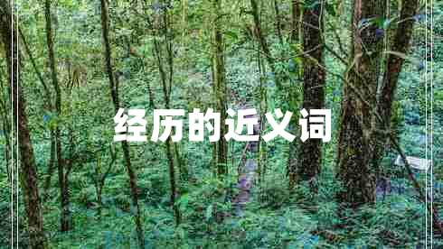 經(jīng)歷的近義詞