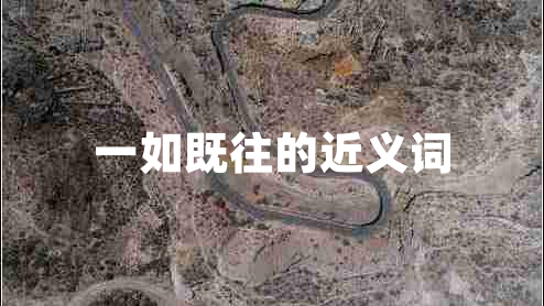 一如既往的近義詞